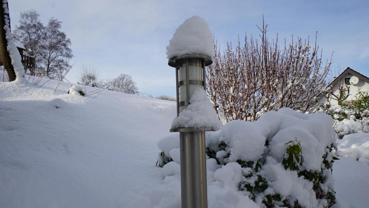 Aritee Sonnenschein * Willingen (Upland)